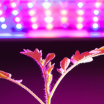 How many watts per square foot for led grow lights?