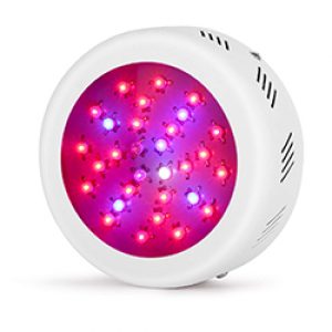 roledro led grow lights