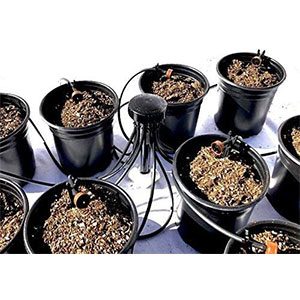 hydroponics kits for sale