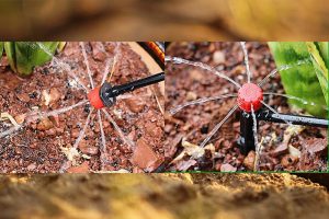 best drip irrigation system