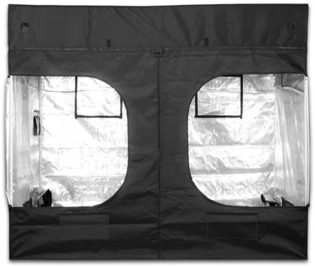 gorilla tent