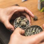 Best Weed Grinder For Extracting the Most from your Bud