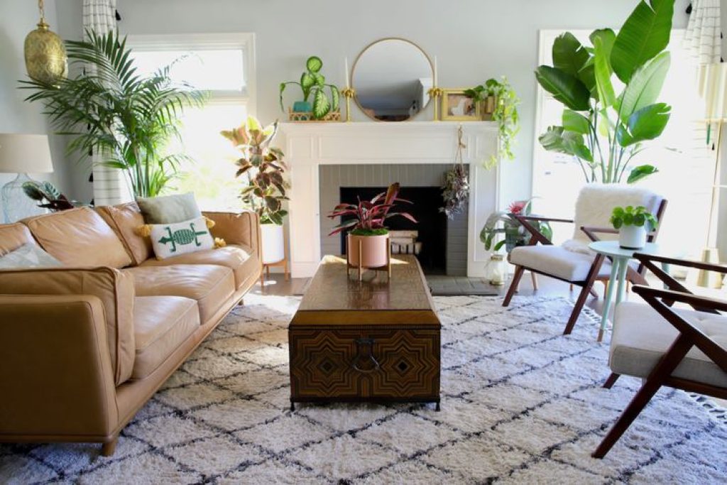 how to arrange plants in living room